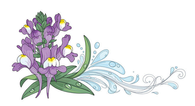 An elegant corner floral arrangement with purple linaria flowers, green leaves, and a decorative splash of clear blue water with drops and swirls.