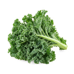Fototapeta premium Side View of Kale The kale is viewed from the side, highlighting its ruffled texture and thick stem. full length isolate on transparent background