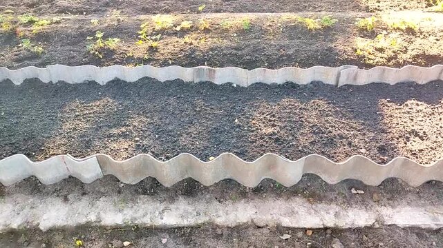 Video of a raised garden bed with corrugated border prepared loose soil sunny day eco friendly upcycling and sustainable gardening no people perfect for b roll, looping background nobody