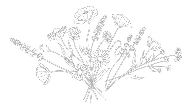 Wildflowers bouquet flowers bundle floral line art.