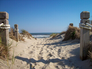 Obraz premium Sandy beach path leading to the ocean under clear blue sky