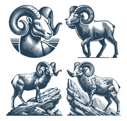 Bighorn Sheep Vector Design Set