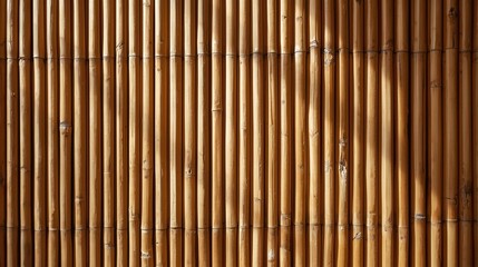 Sunlit Bamboo Wall Texture 