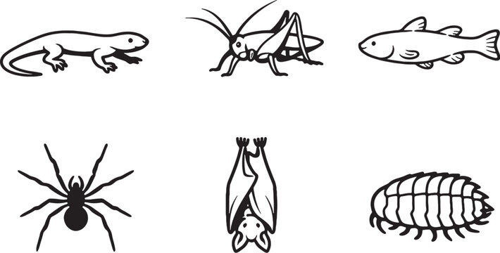 Cave dwelling animals black and white line art icon set eps