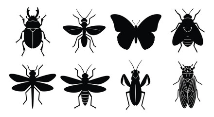A collection of monochrome insect silhouettes including beetles butterflies and various flying bugs © Asikder02