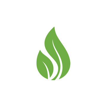 Green flame logo design element for eco-friendly branding.