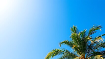 Palm tree against clear blue sky, embodying tropical serenity and natural elegance.