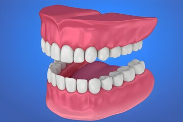 Obraz premium Human Teeth Model with Pink Gums on Blue Background, 3D Render Illustration for Dental Care and Oral Hygiene Education.