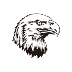Eagle Head Illustration, Black and White Detailed Line Art Bird of Prey Portrait