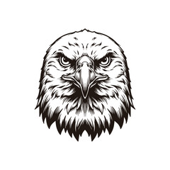 Eagle Head Illustration, Black and White Detailed Line Art Bird of Prey Portrait