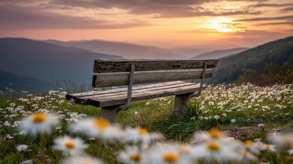 Wooden bench on a hill with blooming daisies at sunset overlooking mountain range
