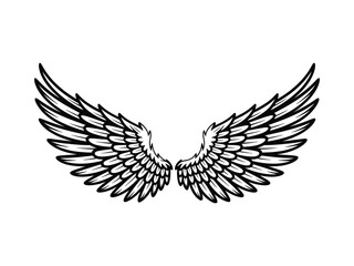 Obraz premium Angel Wings Illustration – Black and White Feathered Wings Symmetrical Vector Design