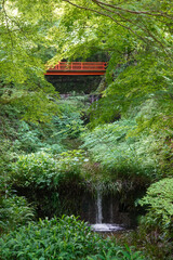 Naklejka premium Historic overlook view of lush Japanese forest garden on an overcast day