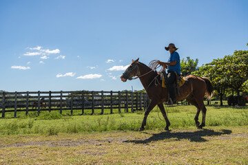 Costa Rican cowboy riding horse near wooden corral in sunny field