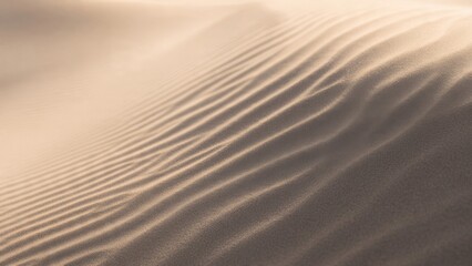 Obraz premium Sand dune surface detail