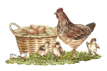 A walking hen and small chicks, next to a basket with a chicken nest and eggs. Hand-drawn watercolor illustration. For packaging, labels, and banners. Also suitable for books, postcards, and games. © ANTONINA MASLOVA