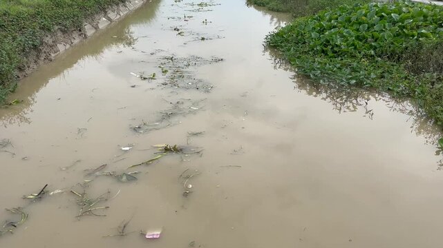 Polluted waterway with debris and vegetation