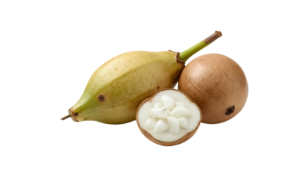 Fresh Tropical Fruits Including Soursop and Custard Apple on White Background