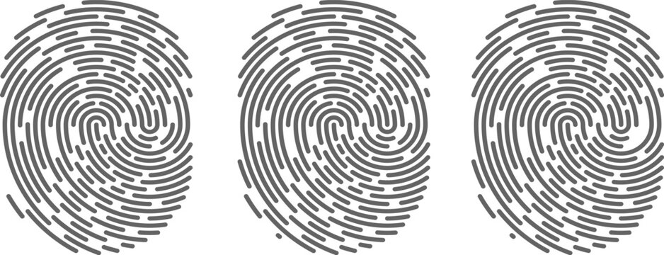 Set of three fingerprint icons abstract security and identity symbols minimalist vector design for digital authentication and biometrics