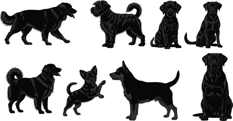 Silhouettes of diverse dog breeds in standing, sitting, and playful poses isolated on white background for education and design use