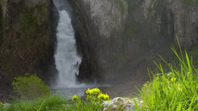 footage of the powerful Dzhily-Su waterfall cascading down a rocky cliff face in the beautiful, rugged landscape of the North Caucasus region. Lush green grass and yellow flowers are visible in the fo