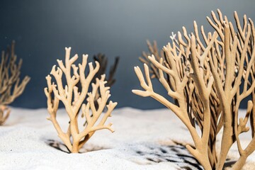Intricate branching coral formations resting on a sandy seabed in the deep ocean