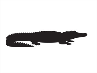 Obraz premium Vector of crocodile design, Silhouette of a crocodile vector illustration on white background 