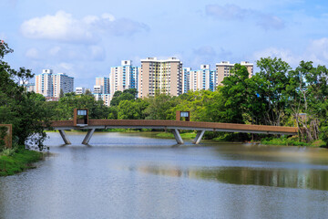 Panorama view with Moonrise Bridge connecting Chinese Garden and Japanese Garden in Jurong Lake Gardens and apartment towers, Singapore © johannes86