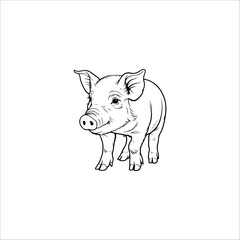 Fototapeta premium pig sketch drawing artwork handmade illustration