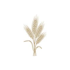 Fototapeta premium Delicate illustration of a wheat stalk bundle in a vintage style, evoking themes of agriculture, harvest, and natural bounty