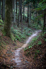 Obraz premium Mount Hiei in Kyoto, Japan in late autumn