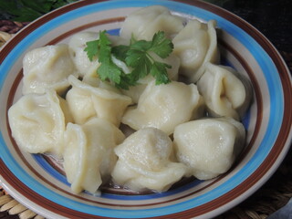 dumplings with meat
