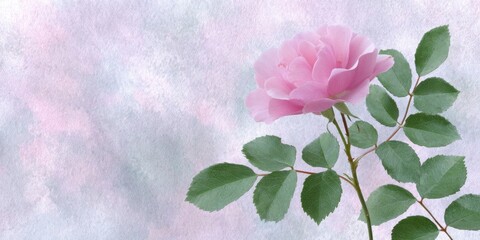 a collage background with distressed textures and faded script, with a single rose in the corner, pink tones