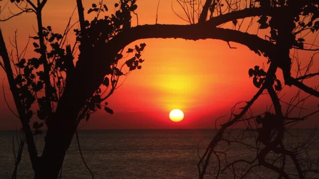4K ocean sunset through silhouette trees on Ko Lanta , Thailand 