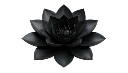 A studio shot of a perfectly formed, dark, stylized flower with layered petals on black