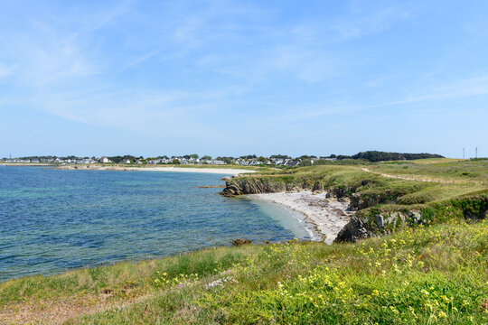 Grassy headland with wildflowers overlooks a curved sandy beach and clear blue water at Plage du Foso in Saint Pierre Quiberon, with distant houses under a bright sky.