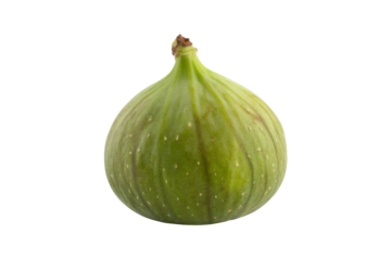 Single green fig fruit