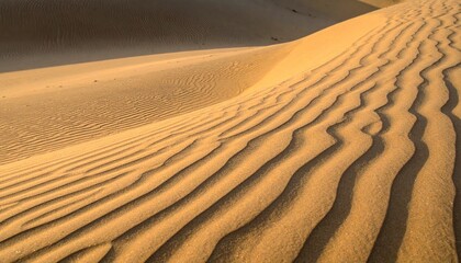 Meditative Sand Ripple Texture Background with Warm Side Lighting