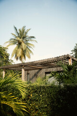 ケニア・モンバサのダイアニビーチに広がる白砂とインド洋の海