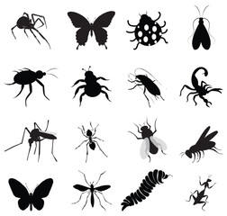 Fototapeta premium Set of 12 insect icons vector
