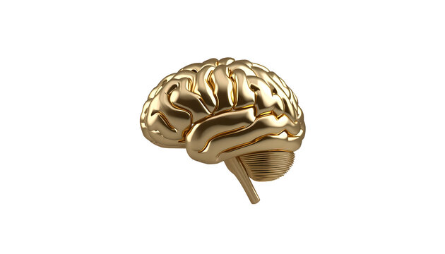 Golden human brain medical illustration on transparent background.