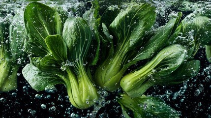 Fresh green bok choy splashing in clear water with vibrant leaves and crisp stems, highlighting natural freshness, healthy organic vegetables, clean food preparation, and refreshing farm-to-table prod