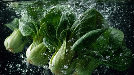 Fresh green bok choy splashing in clear water with vibrant leaves and crisp stems, highlighting natural freshness, healthy organic vegetables, clean food preparation, and refreshing farm-to-table prod