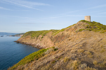 A solitary ancient watchtower stands atop a rocky, sunlit bluff overlooking the blue Mediterranean Sea at Punta di Foghe, Sardinia. Dry grasses and green shrubs cover the hillside under a clear sky