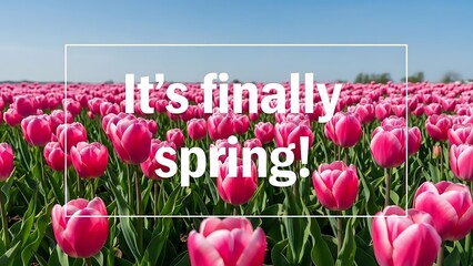 Vibrant spring tulip field illustration