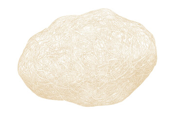 Fototapeta premium Abstract Creamy Cloud-Like Form with Delicate Veining and Intricate Textural Details