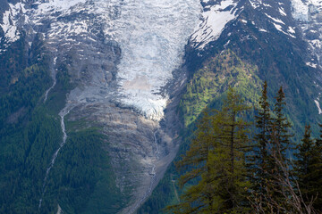 Expansive view of Glacier des Bossons descending over rugged rock and merging into a lush green...