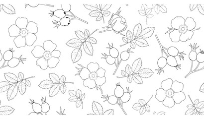 Rosehip flower leaves and fruit seamless botanical pattern vector © Songkari