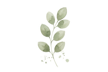 Obraz premium Delicate watercolor sprig illustration featuring muted green leaves against a dark surface
