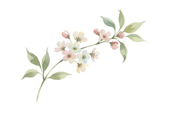 Fototapeta premium Delicate watercolor illustration of blossoms and foliage on a slender branch